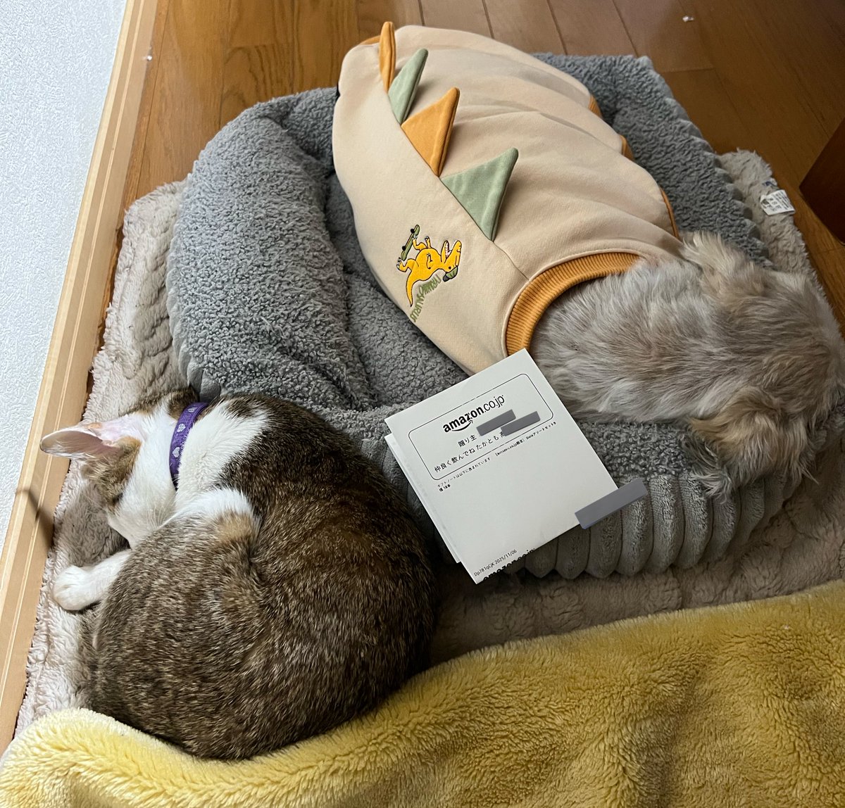 ちゃちゃ☆ on X