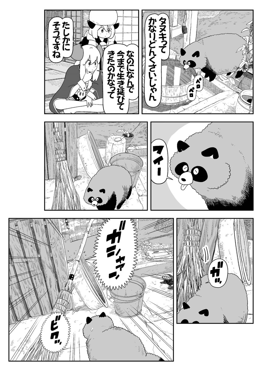 たぬきです、びっくりしてちょっと気絶しちゃいました(2/2) | 渡邉ポポ