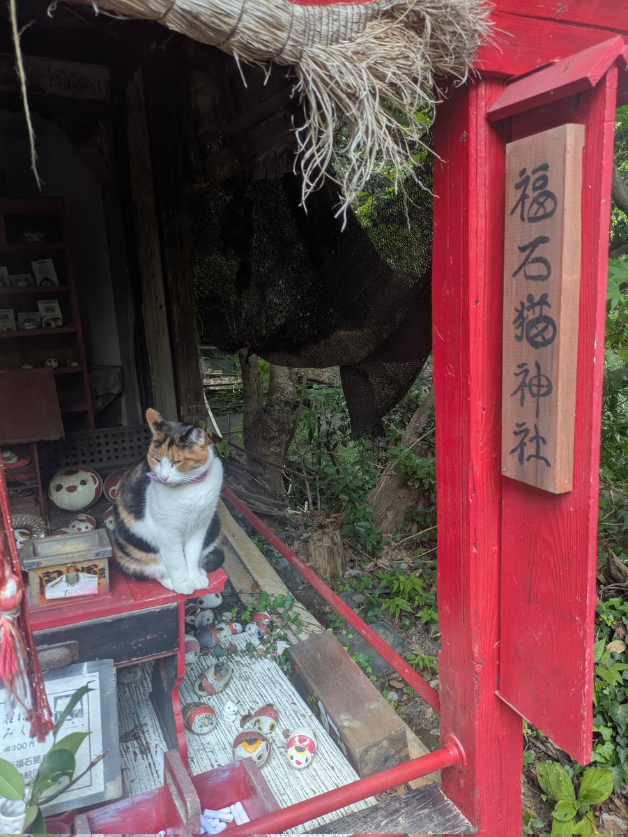 ささみ (@sayu_73) / Posts / X