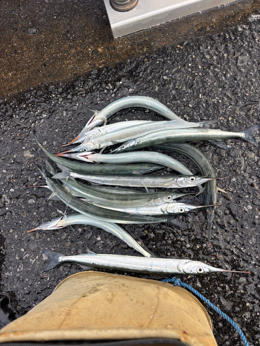 雪板2枚　140Spoonfish 120fish 雪板2枚 140Spoonfish 120fish 雪板2枚 140Spoonfish 120fish