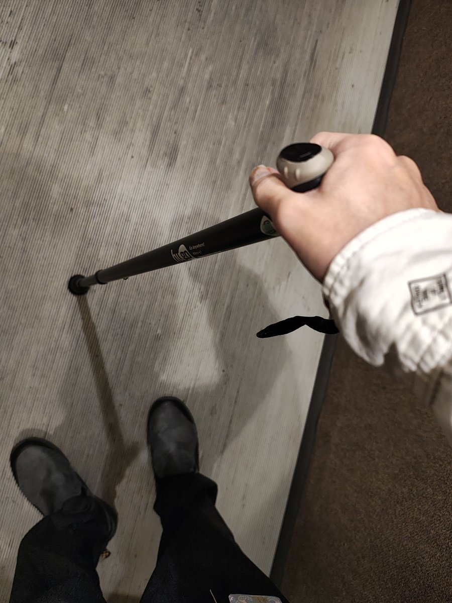 散歩用の杖買ったけどめっちゃ楽！