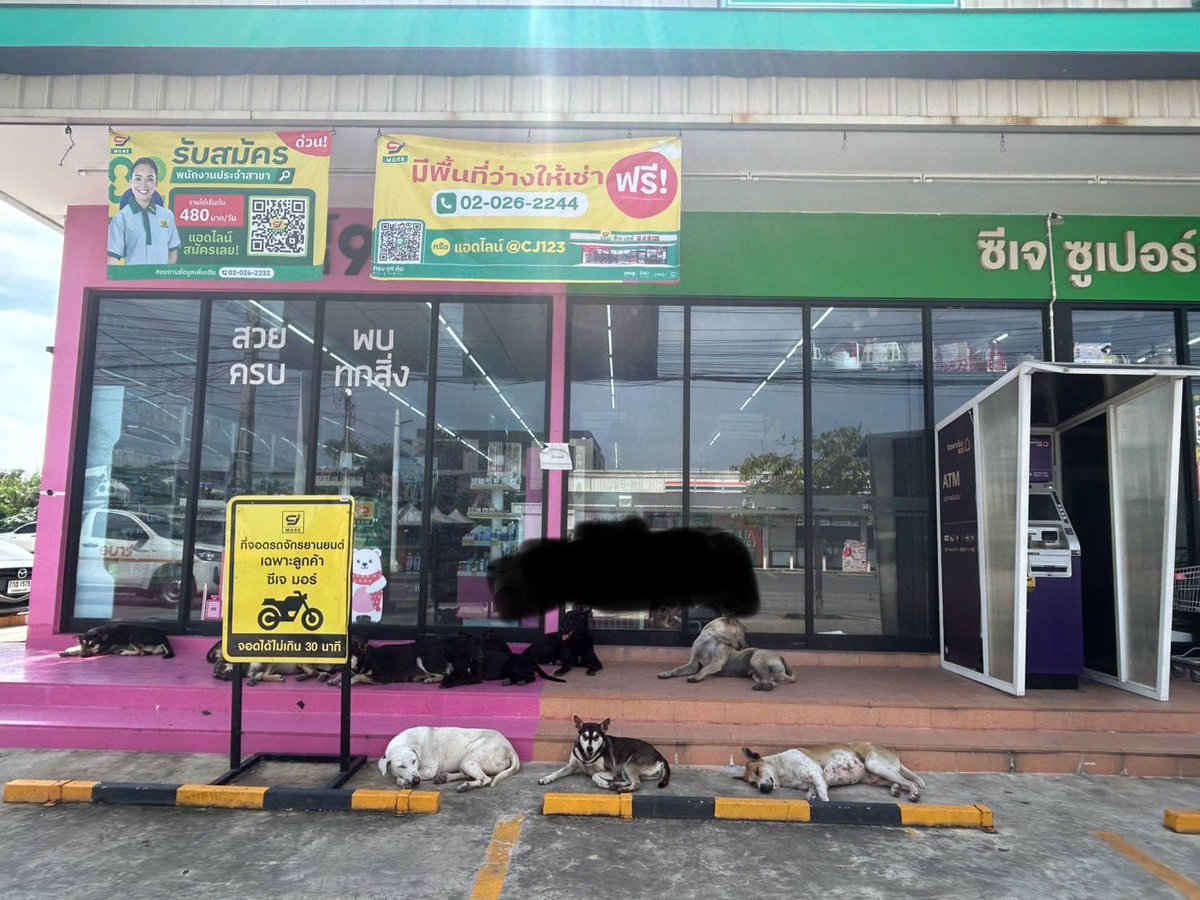 狂犬病の感染区域が拡大してる中、
コンビニに行くたびになかなか勇気が必要です😅

取り敢えず、そっとしましょうー

しかし、今日はいつもより多過ぎ！