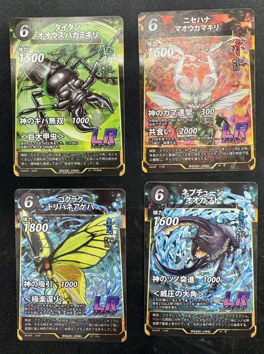 通販】グランドパンダキャニオン on X