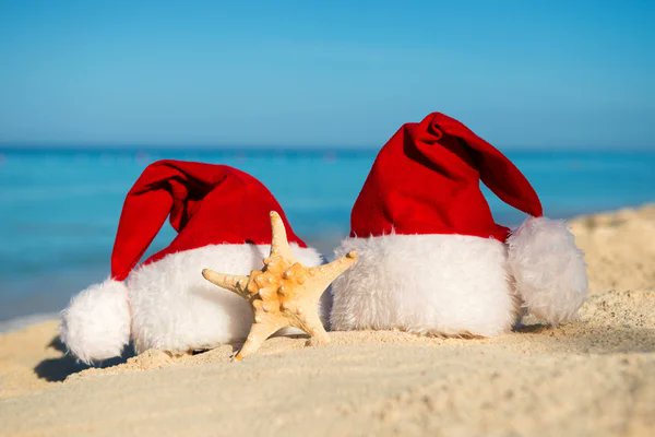 HelloGardenRoute tweet media