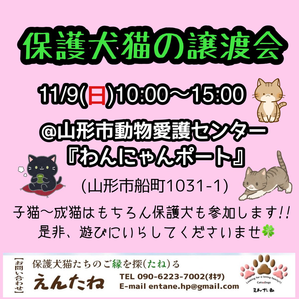 entane50's tweet photo. 11/9(日)は
山形市動物愛護センターにて譲渡会を開催いたします!!

子猫〜成猫、保護犬のジャクソンも参加予定です!!

尚、猫たちの体調やその他の理由により参加猫は確定しておりません。

＊11/9(日)10時～15時
＊山形市動物愛護センター「わんにゃんポート」
 (山形市船町1031-1) https://t.co/2n6FtqYoDd