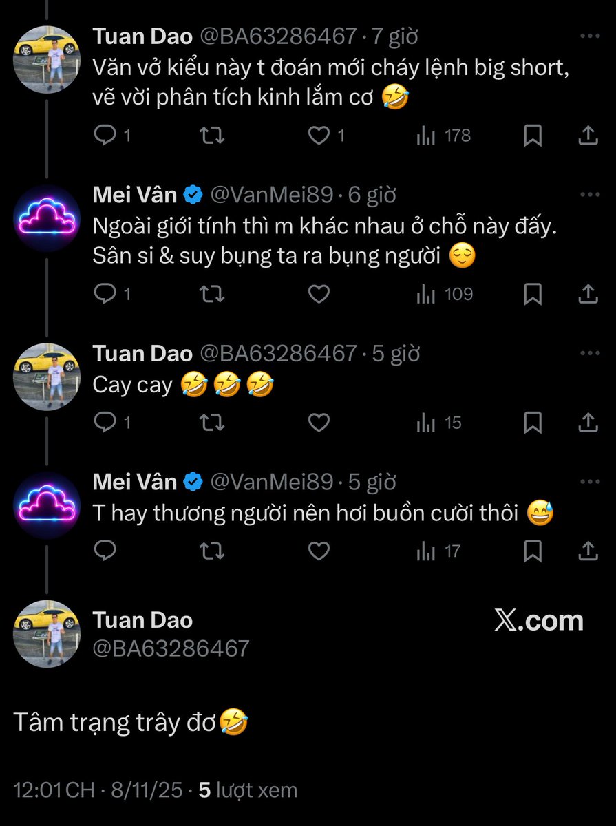 Mei Vân tweet media