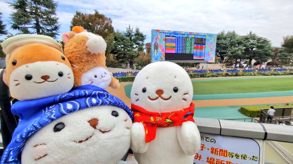 東京競馬場🏇来たきゅ(*´ω｀*)
お馬さんたくさん見ました🐎
新人たんのお馬たん喜んでました
(●´ω｀●)
#しろたん