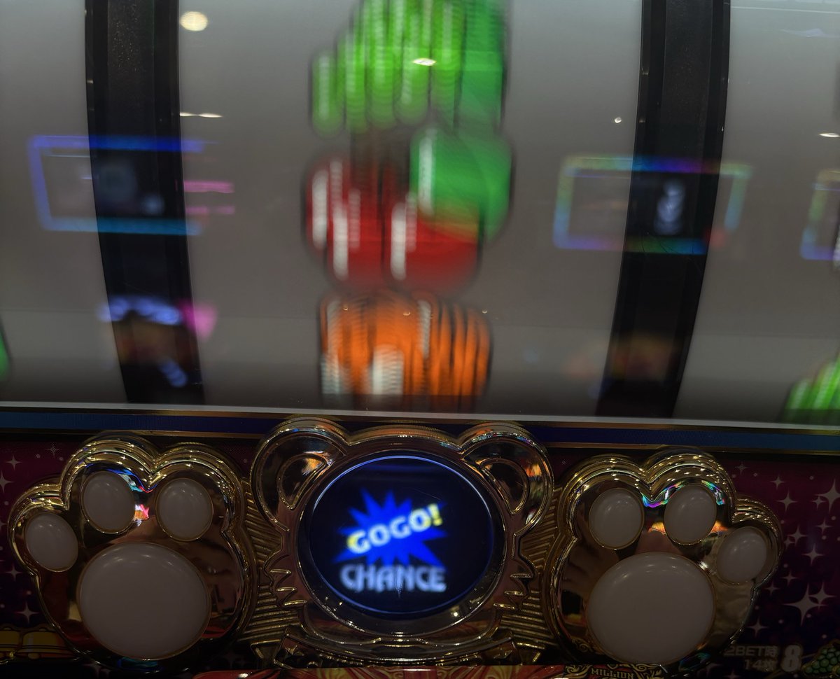 bigblazeページの1 金鯱 8号2点 bigblazeページの1 金鯱 8号2点