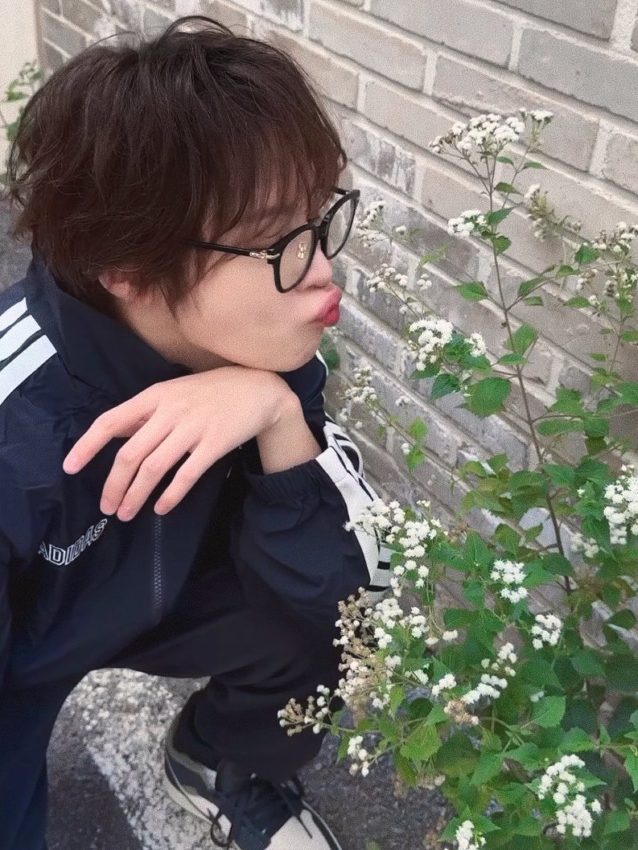 성운에이드 tweet media