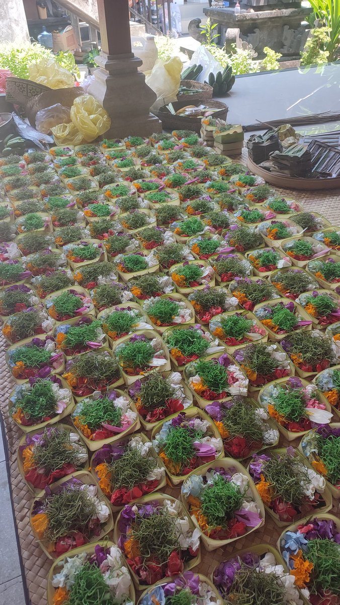 Balipucchino tweet media