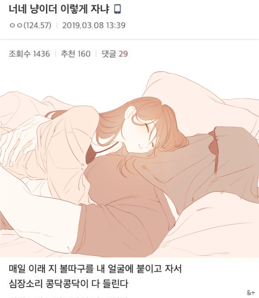 팔로워 tweet media