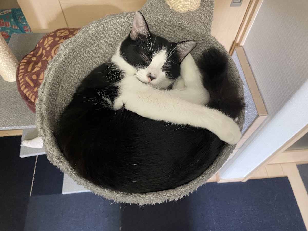 お兄ちゃんのお気に入りの場所、あたちも気に入ってるの🩷