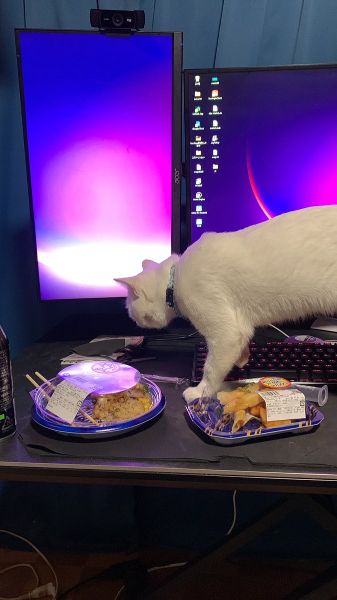 猫に邪魔されてお昼食べれないw