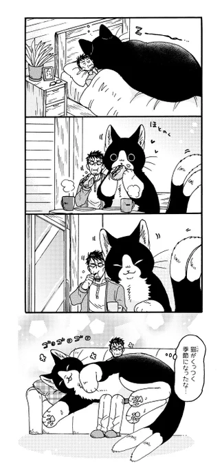 でっかい猫又のくっつく季節🍁 