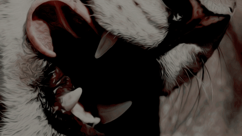 vivioyvencio's tweet image. ᅠ
ᅠ
ᅠ
ᅠ