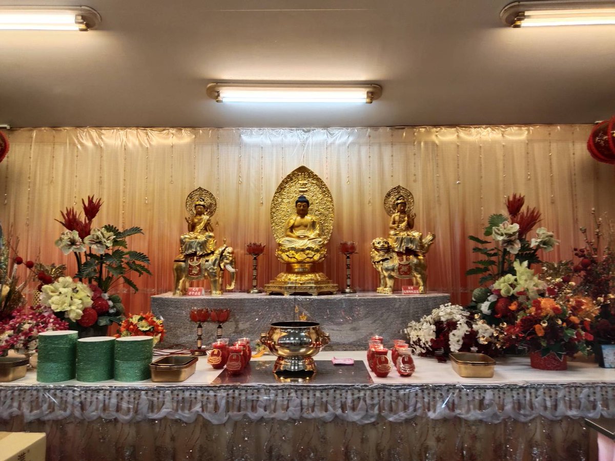 蜡烛梅花-蜡烛梅花促销价格、蜡烛梅花品牌- 淘宝, image size:1200x900