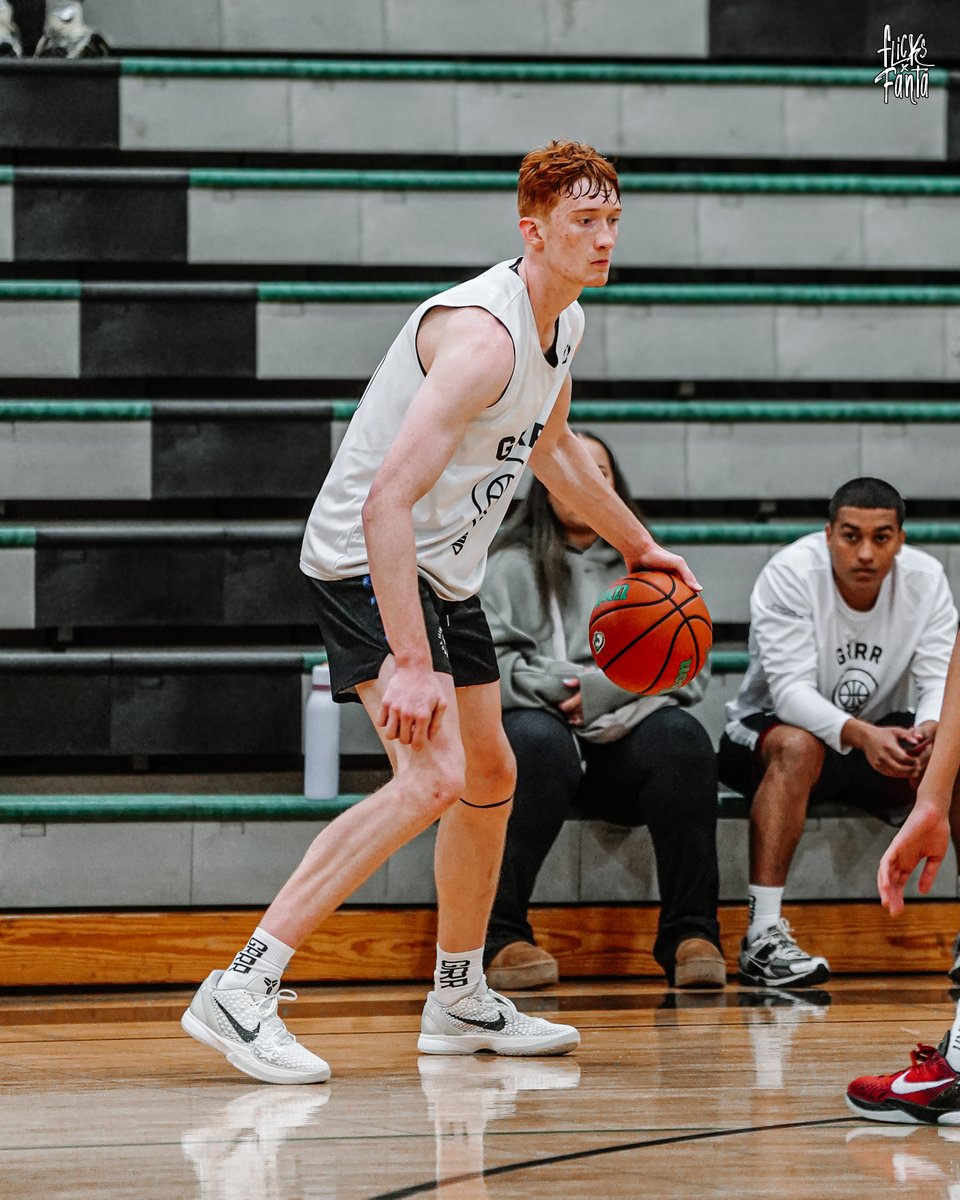 Pro Insight tweet media