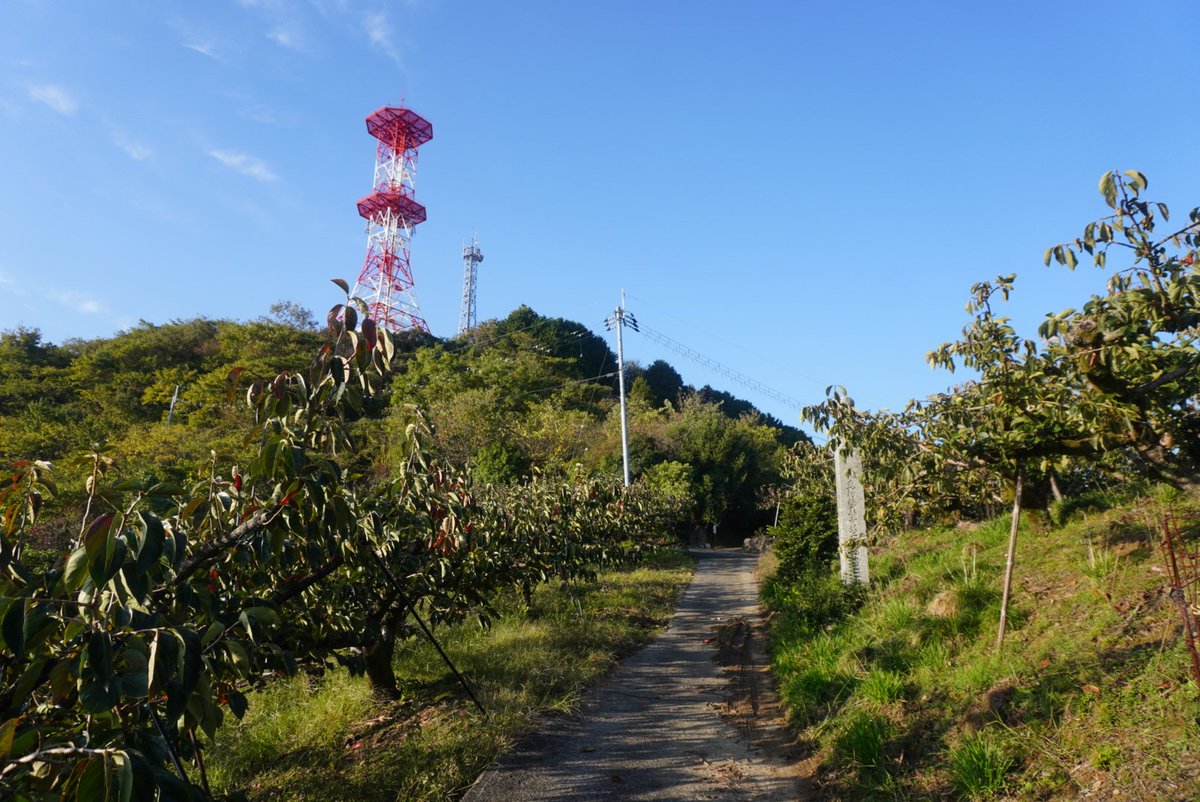 高野山まで歩こう！（新） (@jQKnW3Lg7A85650) / Posts / X