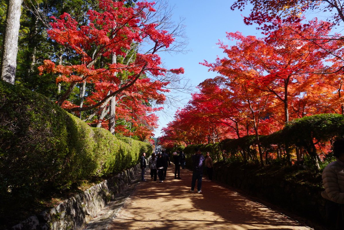 高野山まで歩こう！（新） on X