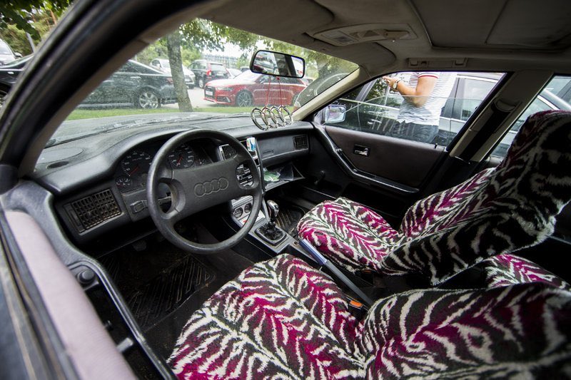 MacaVozac's tweet image. #valanciunas