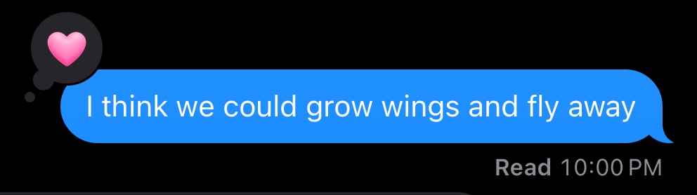 lachlan (@hyprturing) on Twitter photo 