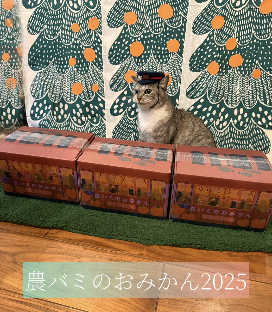 ウチュウジンゆきちゃん👽 on X