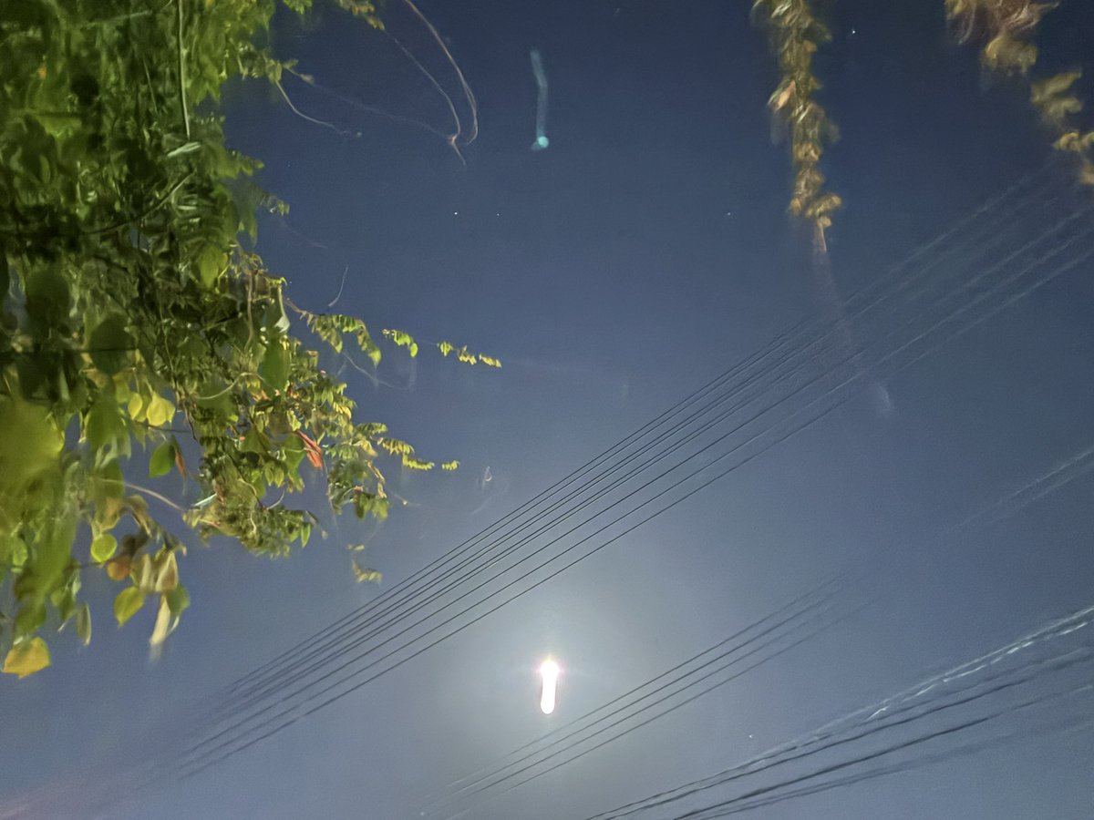 プカプカ猫　in　sky プカプカ猫 in sky Mikiko*＊ on X