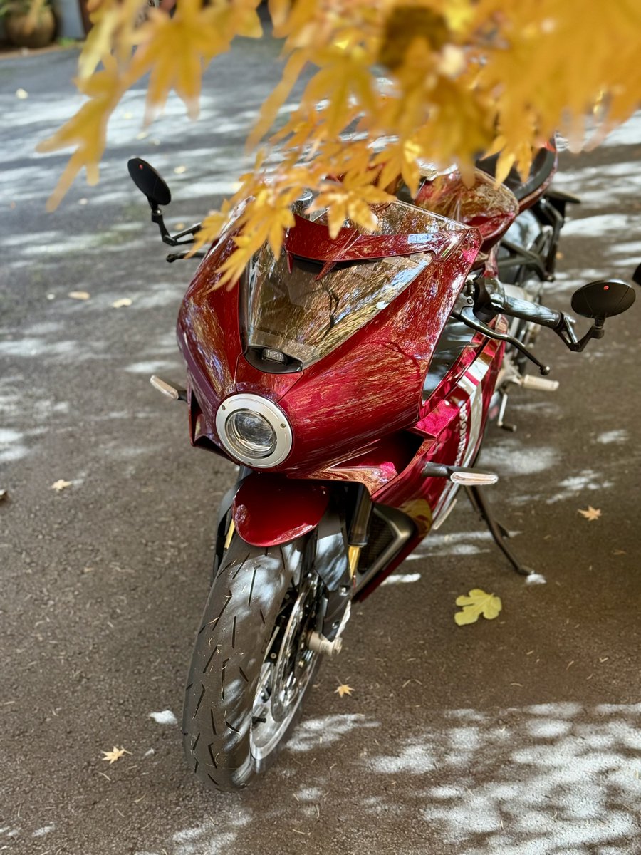 くまごろう (@kumagorou_bike) / Posts / X