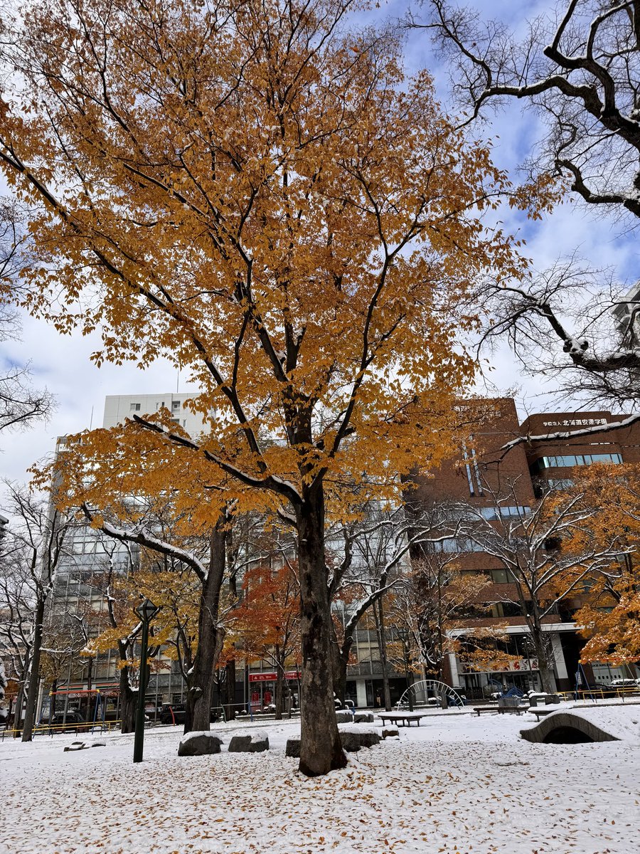 散歩なう 誰も歩いてない… #大通公園