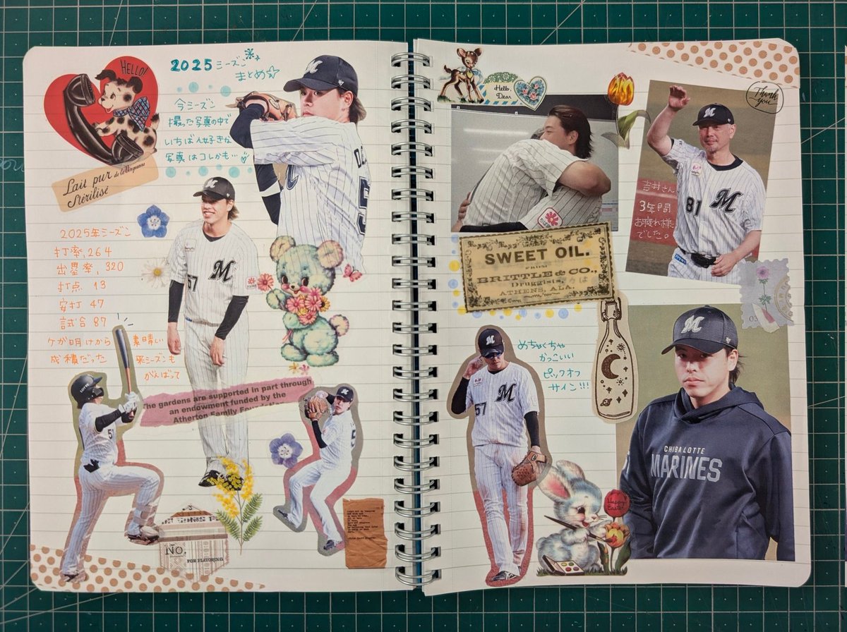 ひーちぇ　ジャンクジャーナル ジャンクジャーナル