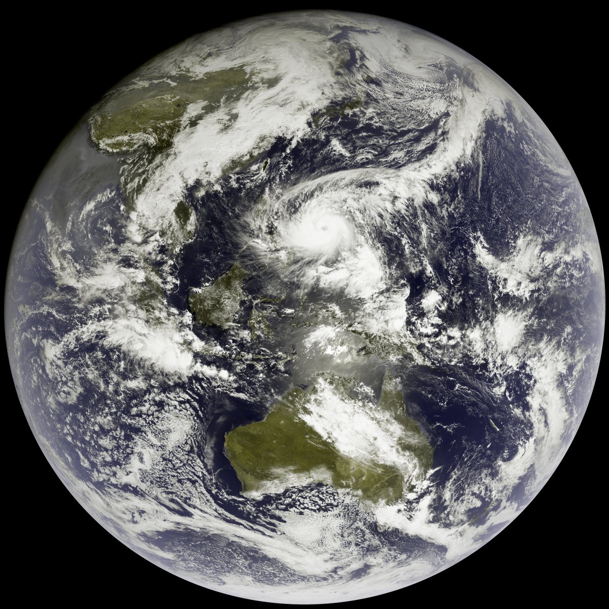 John Bell tweet media