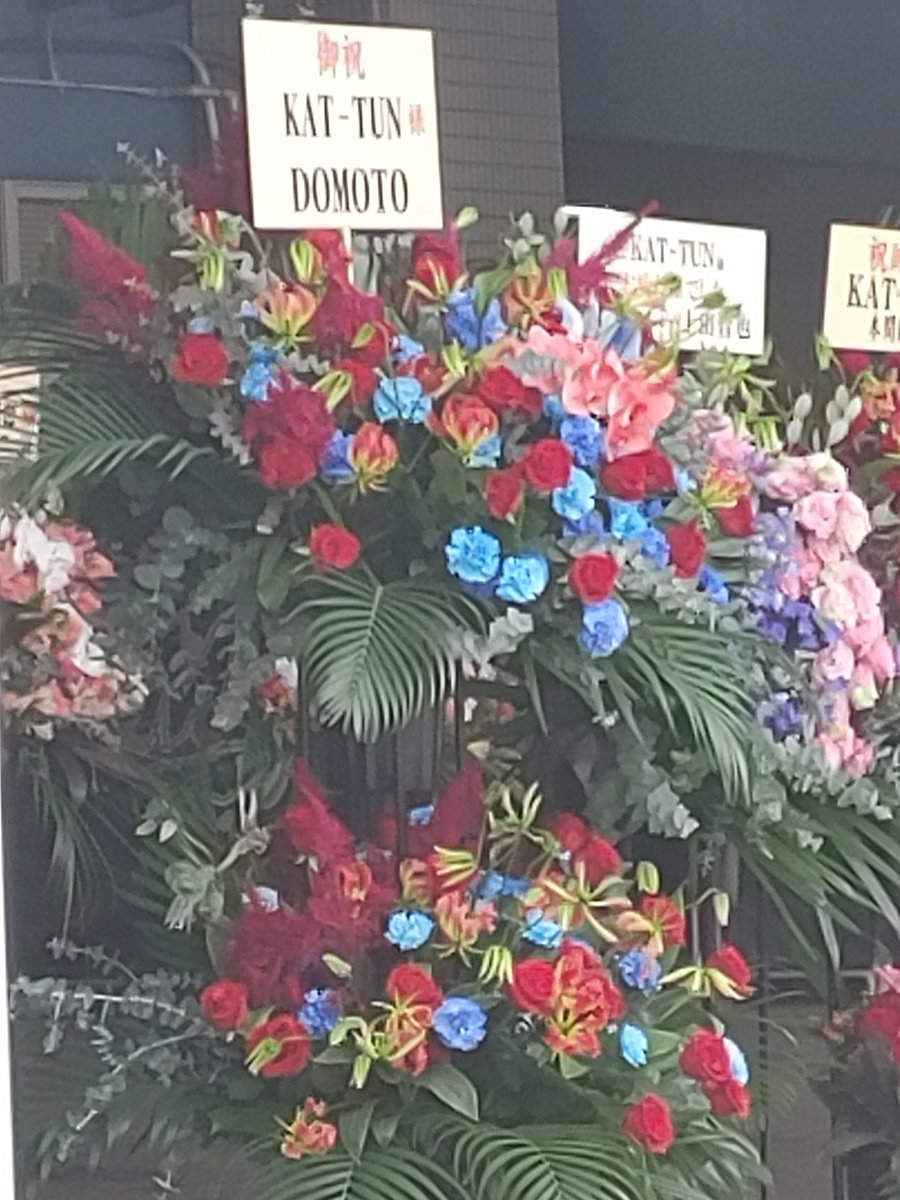 ひまにゃ (@CQvfSrvE0IvuZ2E) / Posts / X