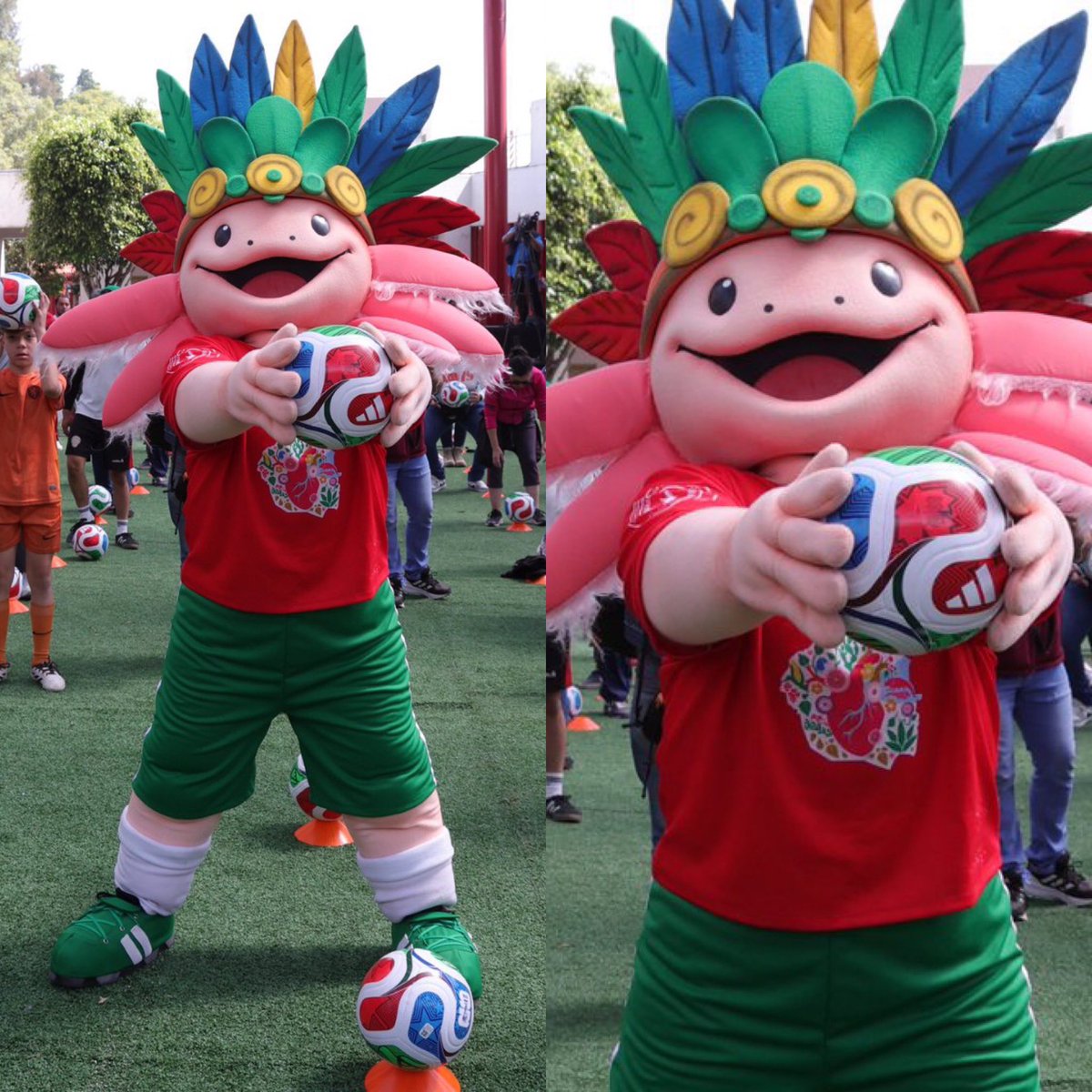 CerebrosG's tweet image. Completamente oficial, un ajolote con penacho será la mascota oficial de la CDMX para el Mundial 2026.