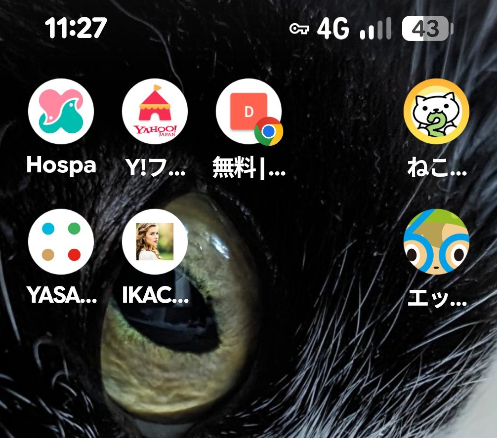 ﾁﾋﾞｸﾛﾐｯﾁｪﾙ on X