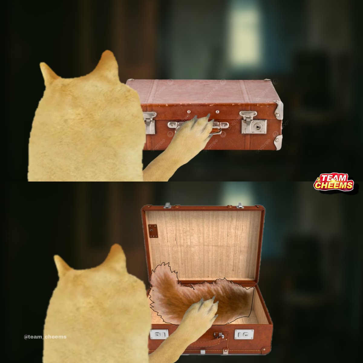 team_cheems's tweet image. One last - 1st single #ThalapathyKacheri 🌪️