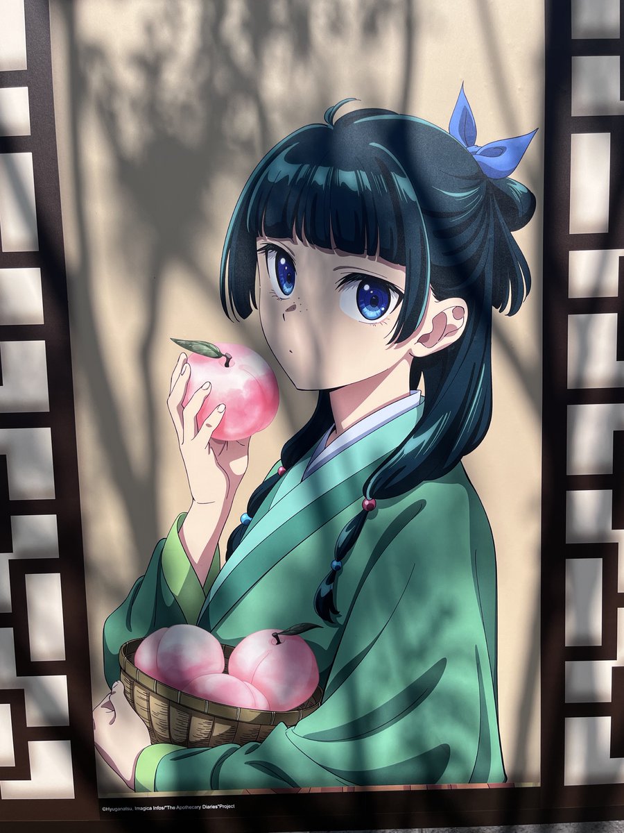 ビカクシダ☆イザナミ☆Izanami☆伊弉冉☆OC☆ りい 11/16 東7 W09a on X