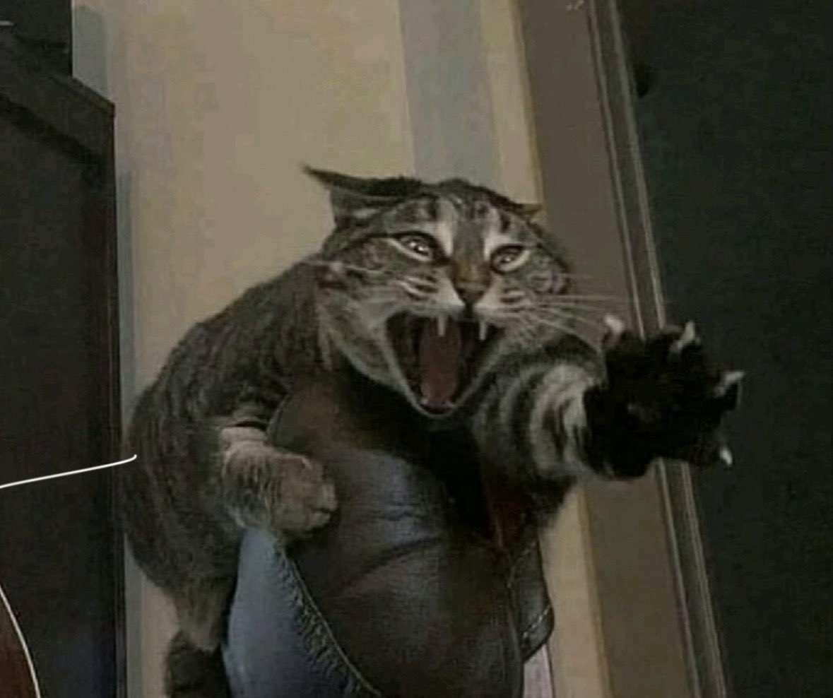 DumPotat0e's tweet photo. Guys halloween is still technically close it’s halloween season still so spooky and scary guys pls don’t put that tree up https://t.co/S0xtxTPWq4