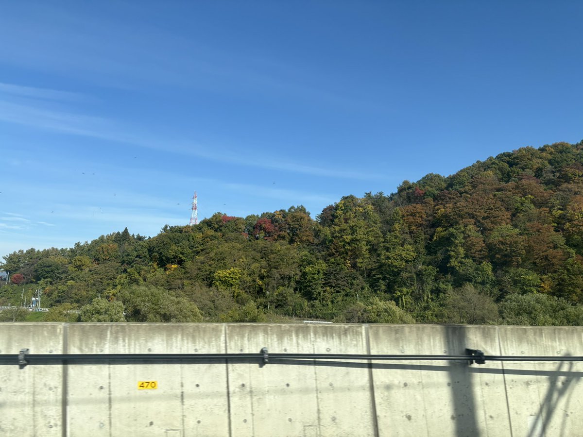 まだ秋なんです
それにしてもまだ青々としてる
これから少しずつ紅葉していきます🍁