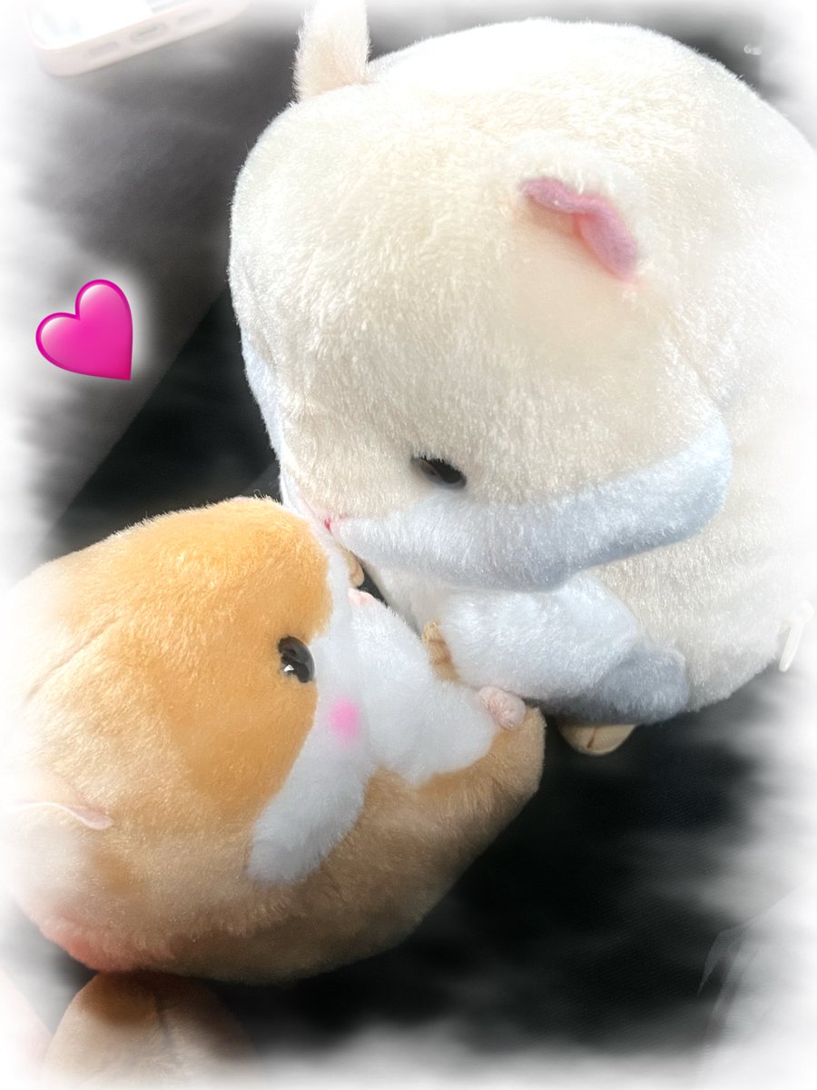 はむまる (@hamumaru_86) / Posts / X