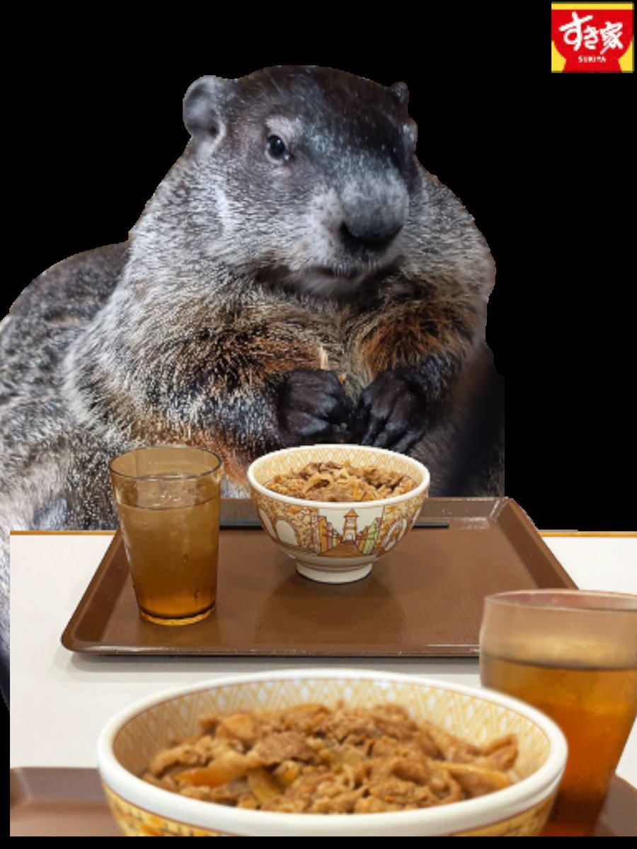 ふく．たろ．もも@マーモット（ウッドチャック） on X