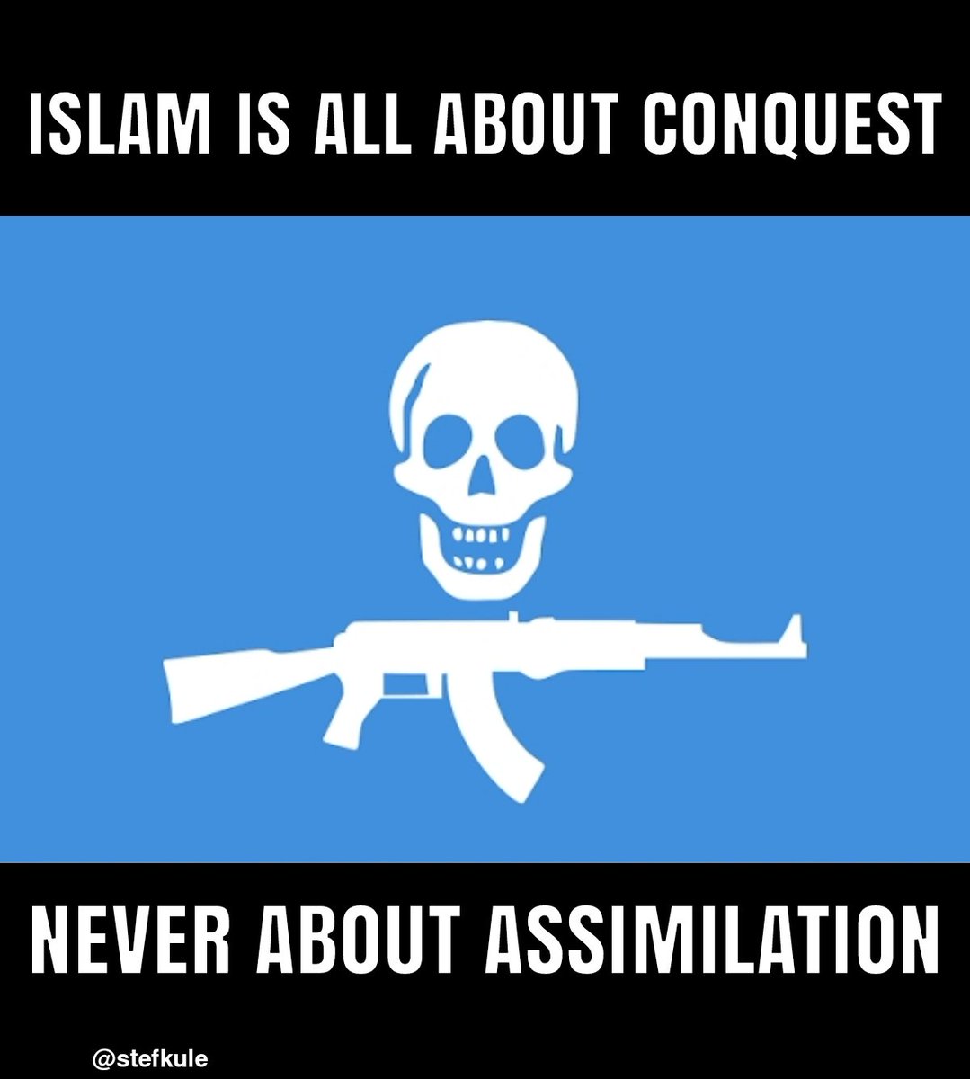 stefkule's tweet image. 