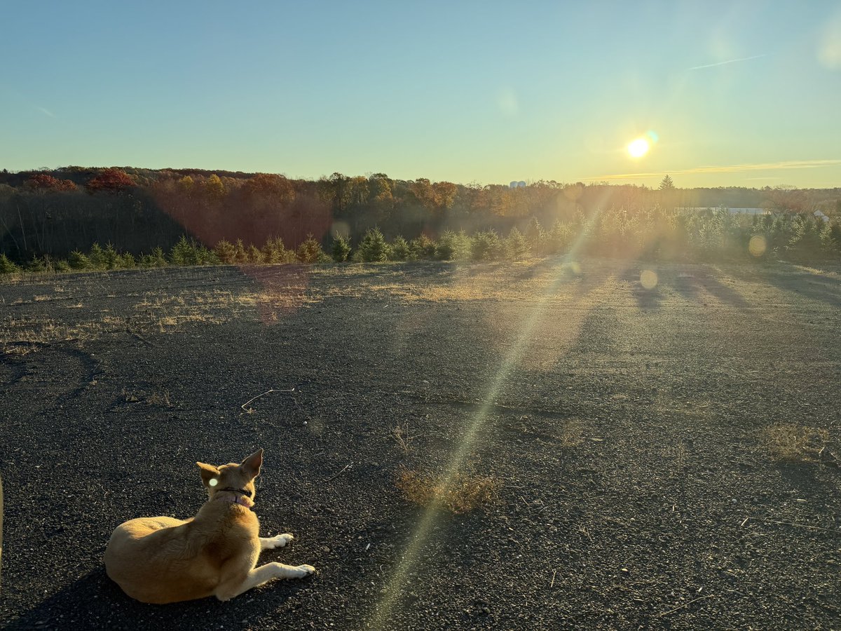 Matthew Reed tweet media