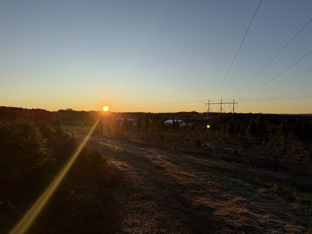 Matthew Reed tweet media