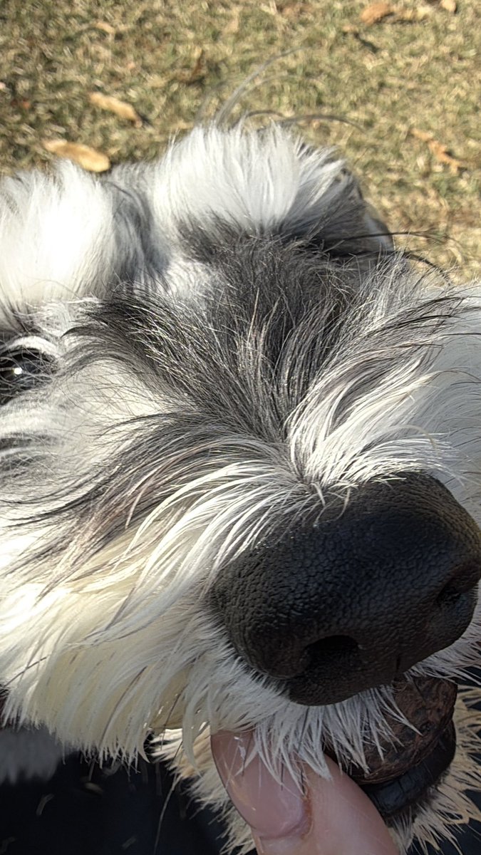 たぶん
しんちゃんが拾ってきたんだよね
まさか
トトロか
カラスか