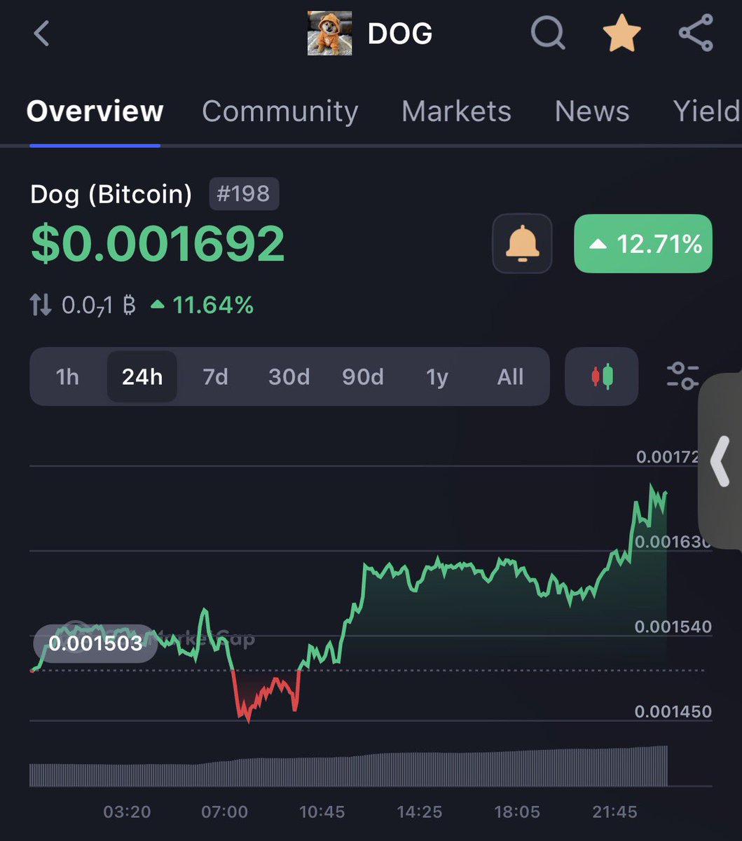 I know a bull when I see one $DOG