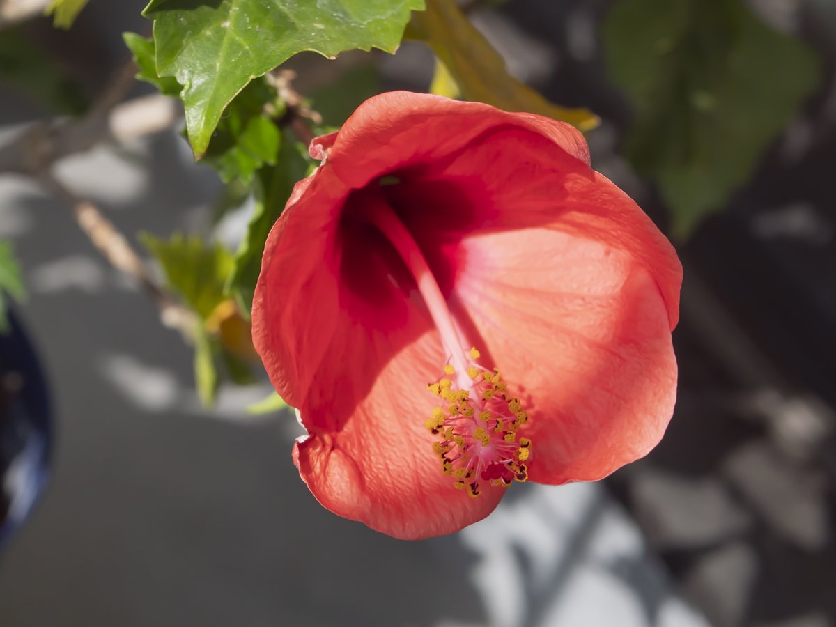 gripいいね_RT on X