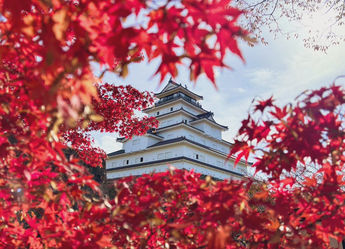 🍁🏯鶴ヶ城🏯🍁