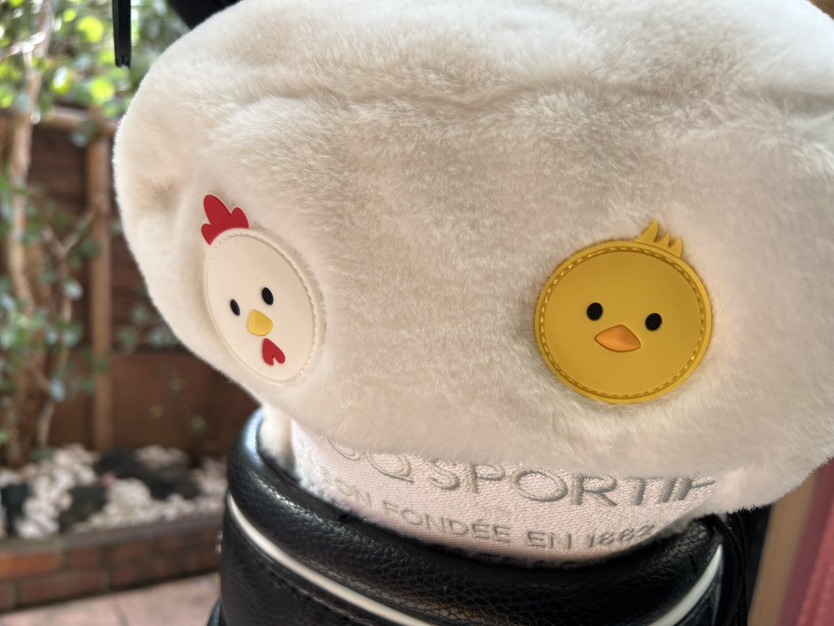 ふくた🕺🏻✨ on X