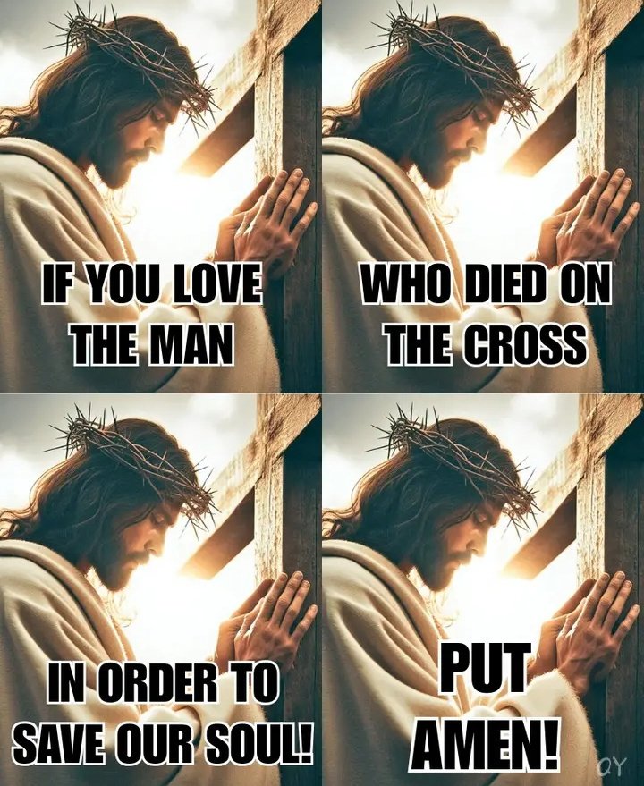 RosarySon tweet media