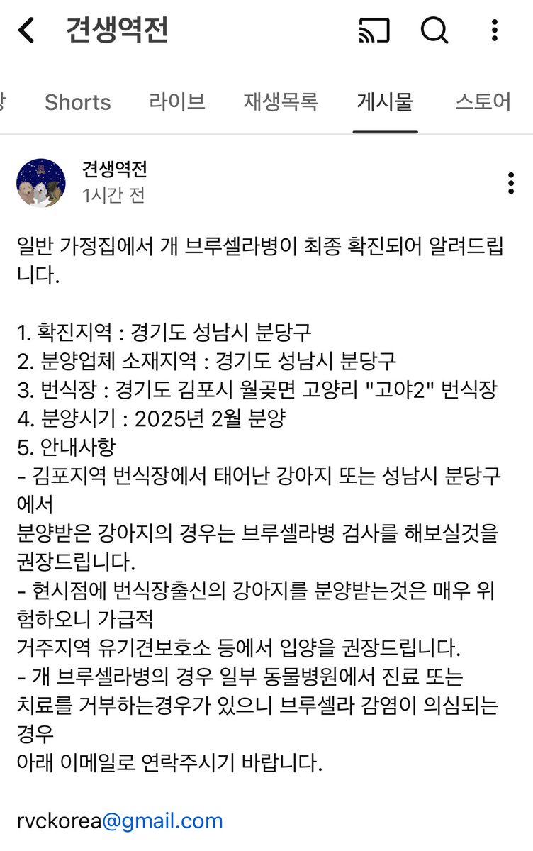 가정집에서 브루셀라 최종 확인되었다고 합니다…… 김포 번식장 / 성남 분당에서 분양받은 강아지는 브루셀라 검사를 권한다네요…😐